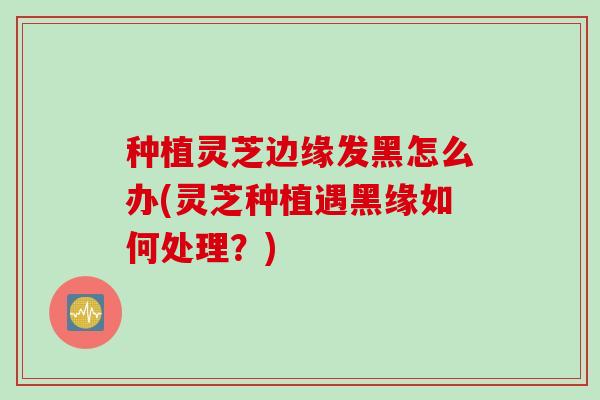 种植灵芝边缘发黑怎么办(灵芝种植遇黑缘如何处理？)