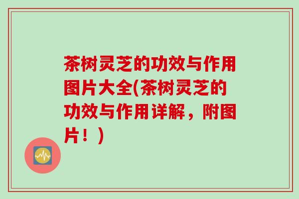 茶树灵芝的功效与作用图片大全(茶树灵芝的功效与作用详解，附图片！)