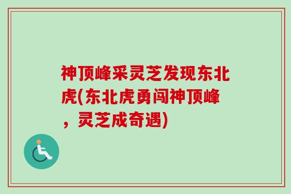神顶峰采灵芝发现东北虎(东北虎勇闯神顶峰，灵芝成奇遇)