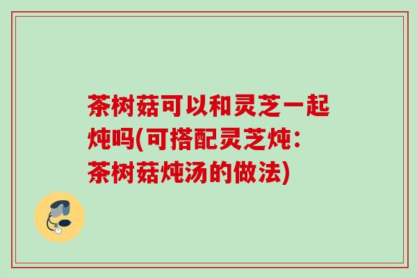 茶树菇可以和灵芝一起炖吗(可搭配灵芝炖：茶树菇炖汤的做法)