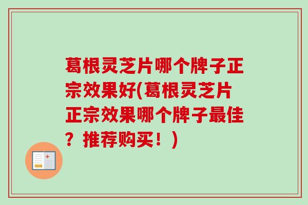 葛根灵芝片哪个牌子正宗效果好(葛根灵芝片正宗效果哪个牌子最佳？推荐购买！)