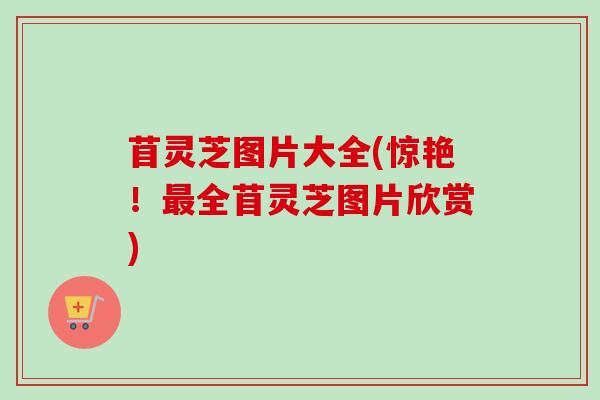 苜灵芝图片大全(惊艳！最全苜灵芝图片欣赏)