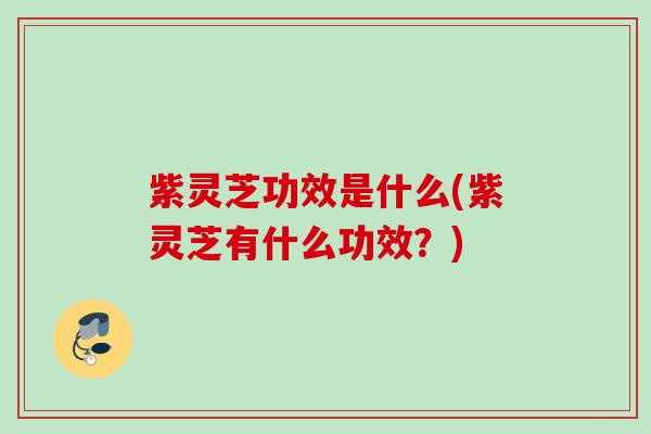 紫灵芝功效是什么(紫灵芝有什么功效？)
