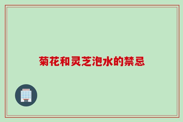 菊花和灵芝泡水的禁忌