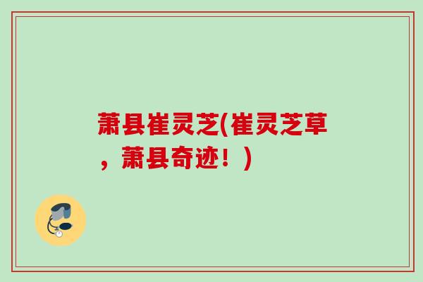 萧县崔灵芝(崔灵芝草，萧县奇迹！)