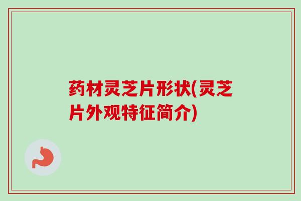 药材灵芝片形状(灵芝片外观特征简介)