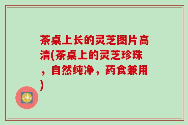 茶桌上长的灵芝图片高清(茶桌上的灵芝珍珠，自然纯净，药食兼用)