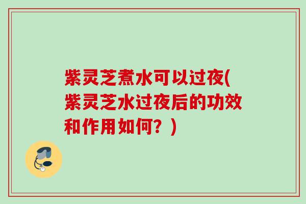 紫灵芝煮水可以过夜(紫灵芝水过夜后的功效和作用如何？)