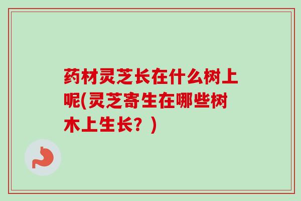 药材灵芝长在什么树上呢(灵芝寄生在哪些树木上生长？)