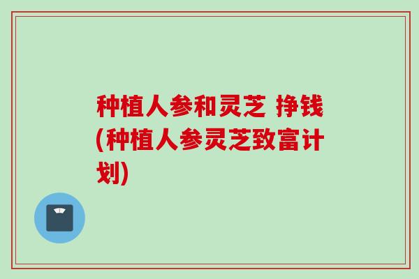 种植人参和灵芝 挣钱(种植人参灵芝致富计划)