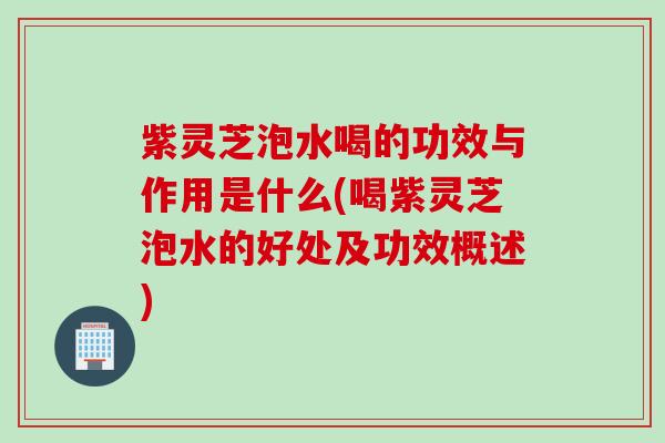 紫灵芝泡水喝的功效与作用是什么(喝紫灵芝泡水的好处及功效概述)
