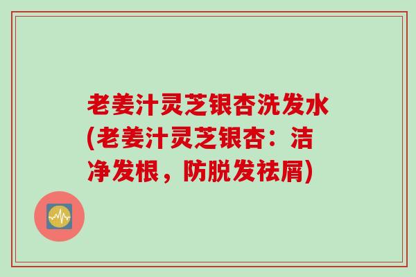 老姜汁灵芝银杏洗发水(老姜汁灵芝银杏：洁净发根，防脱发祛屑)