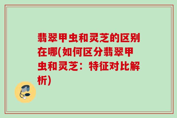 翡翠甲虫和灵芝的区别在哪(如何区分翡翠甲虫和灵芝：特征对比解析)