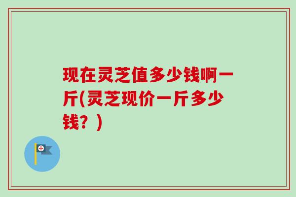 现在灵芝值多少钱啊一斤(灵芝现价一斤多少钱？)