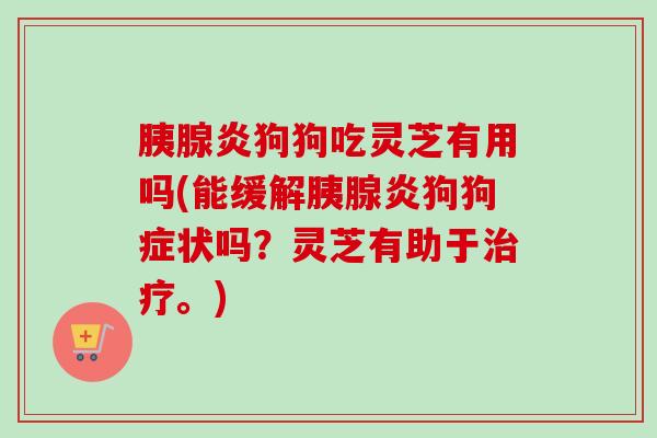胰腺炎狗狗吃灵芝有用吗(能缓解胰腺炎狗狗症状吗？灵芝有助于治疗。)