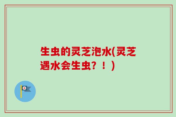 生虫的灵芝泡水(灵芝遇水会生虫？！)