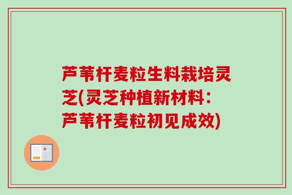 芦苇杆麦粒生料栽培灵芝(灵芝种植新材料:芦苇杆麦粒初见成效) 芦苇杆麦粒生料栽培灵芝(灵芝种植新材料:芦苇杆麦粒初见成效)