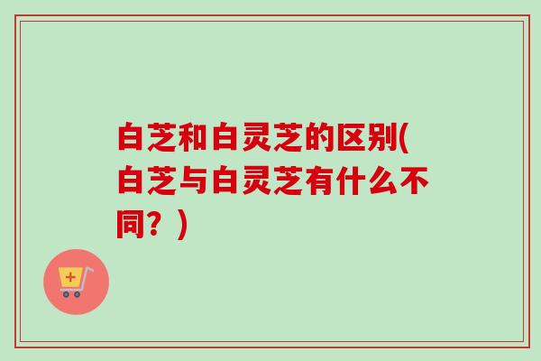 白芝和白灵芝的区别(白芝与白灵芝有什么不同？)