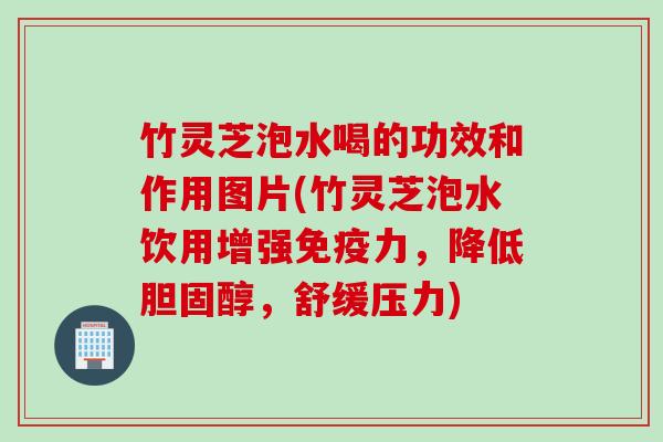 竹灵芝泡水喝的功效和作用图片(竹灵芝泡水饮用增强免疫力，降低胆固醇，舒缓压力)