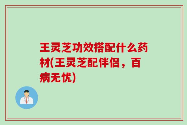 王灵芝功效搭配什么药材(王灵芝配伴侣，百病无忧)