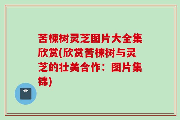 苦楝树灵芝图片大全集欣赏(欣赏苦楝树与灵芝的壮美合作：图片集锦)