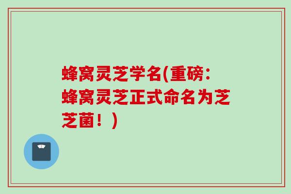 蜂窝灵芝学名(重磅：蜂窝灵芝正式命名为芝芝菌！)