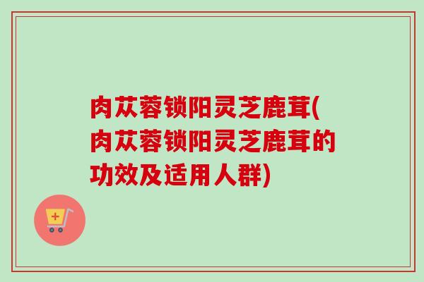 肉苁蓉锁阳灵芝鹿茸(肉苁蓉锁阳灵芝鹿茸的功效及适用人群)