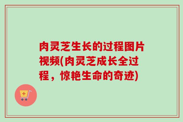 肉灵芝生长的过程图片视频(肉灵芝成长全过程，惊艳生命的奇迹)