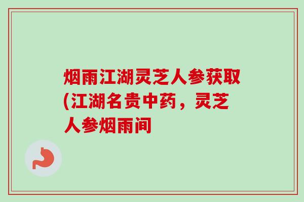 烟雨江湖灵芝人参获取(江湖名贵,灵芝人参烟雨间 烟雨江湖灵芝人参获取(江湖名贵,灵芝人参烟雨间