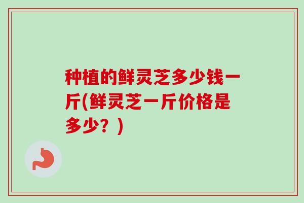 种植的鲜灵芝多少钱一斤(鲜灵芝一斤价格是多少？)