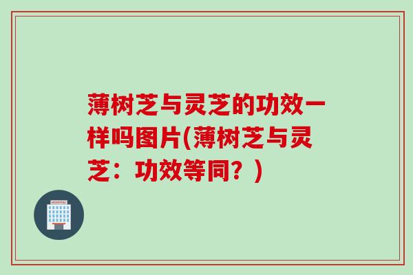 薄树芝与灵芝的功效一样吗图片(薄树芝与灵芝：功效等同？)