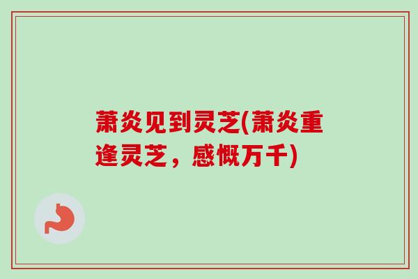 萧炎见到灵芝(萧炎重逢灵芝，感慨万千)