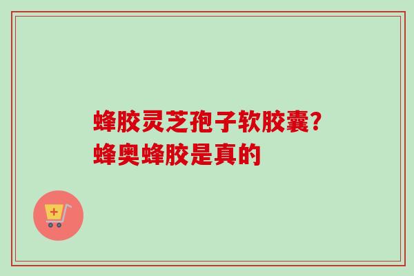蜂胶灵芝孢子软胶囊？蜂奥蜂胶是真的