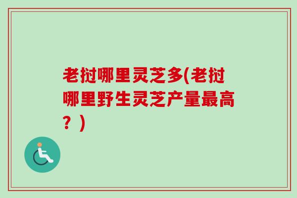 老挝哪里灵芝多(老挝哪里野生灵芝产量最高？)
