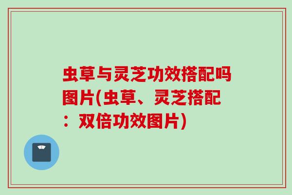 虫草与灵芝功效搭配吗图片(虫草、灵芝搭配：双倍功效图片)