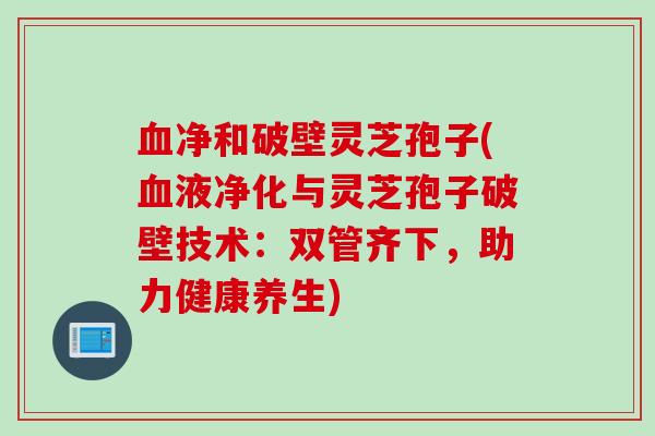 血净和破壁灵芝孢子(血液净化与灵芝孢子破壁技术：双管齐下，助力健康养生)