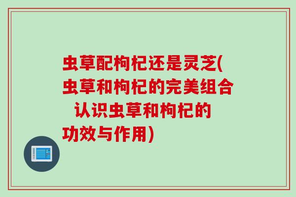 虫草配枸杞还是灵芝(虫草和枸杞的完美组合  认识虫草和枸杞的功效与作用)