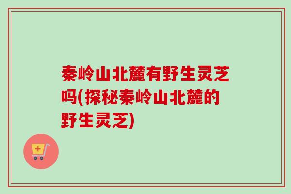 秦岭山北麓有野生灵芝吗(探秘秦岭山北麓的野生灵芝)