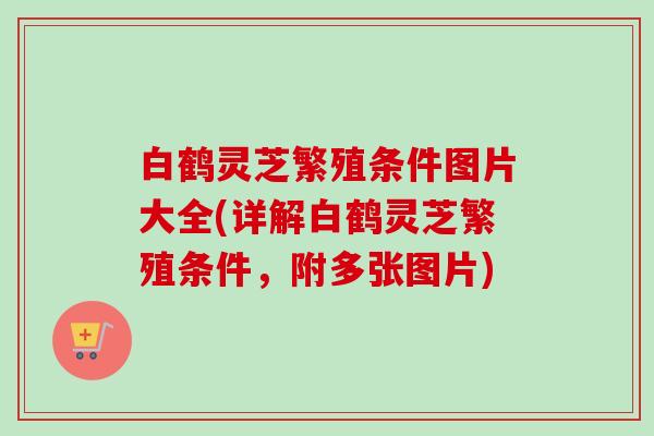 白鹤灵芝繁殖条件图片大全(详解白鹤灵芝繁殖条件，附多张图片)