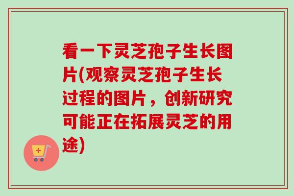 看一下灵芝孢子生长图片(观察灵芝孢子生长过程的图片，创新研究可能正在拓展灵芝的用途)