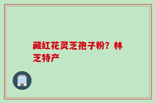 藏红花灵芝孢子粉？林芝特产
