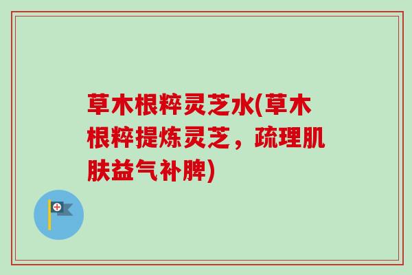草木根粹灵芝水(草木根粹提炼灵芝，疏理肌肤益气补脾)