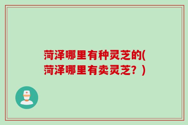 菏泽哪里有种灵芝的(菏泽哪里有卖灵芝？)