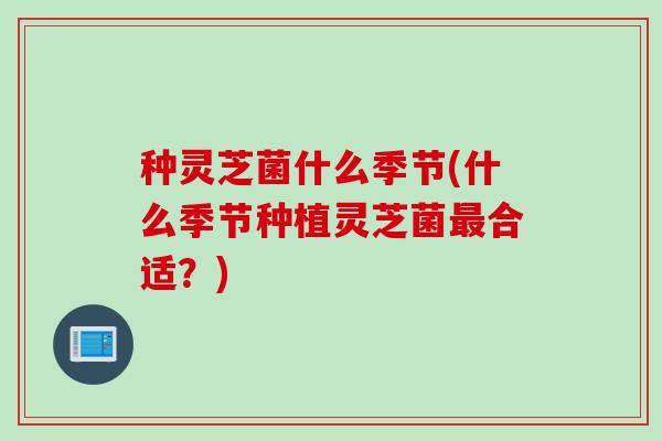 种灵芝菌什么季节(什么季节种植灵芝菌最合适？)