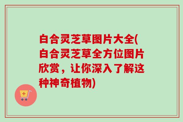 白合灵芝草图片大全(白合灵芝草全方位图片欣赏，让你深入了解这种神奇植物)
