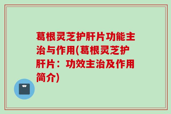 葛根灵芝护肝片功能主治与作用(葛根灵芝护肝片：功效主治及作用简介)