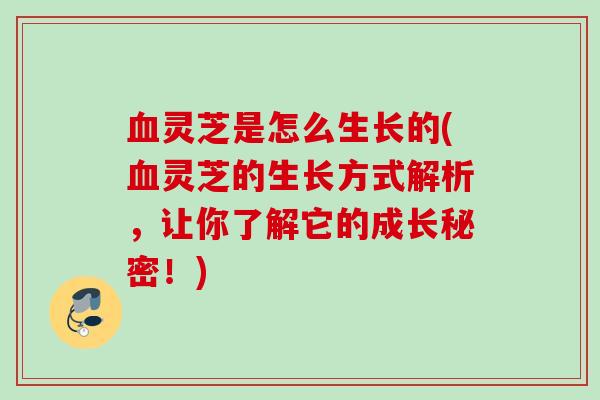 血灵芝是怎么生长的(血灵芝的生长方式解析，让你了解它的成长秘密！)