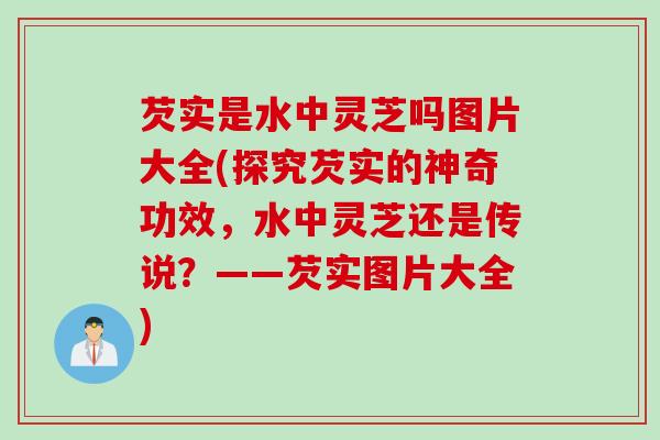 芡实是水中灵芝吗图片大全(探究芡实的神奇功效，水中灵芝还是传说？——芡实图片大全)