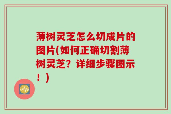薄树灵芝怎么切成片的图片(如何正确切割薄树灵芝？详细步骤图示！)