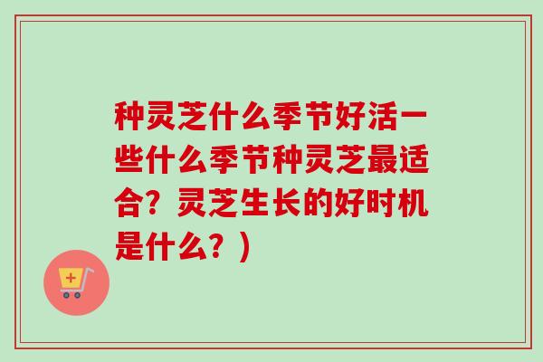 种灵芝什么季节好活一些什么季节种灵芝最适合？灵芝生长的好时机是什么？)